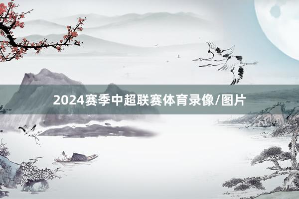 2024赛季中超联赛体育录像/图片