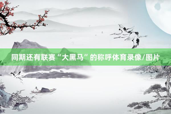 同期还有联赛“大黑马”的称呼体育录像/图片