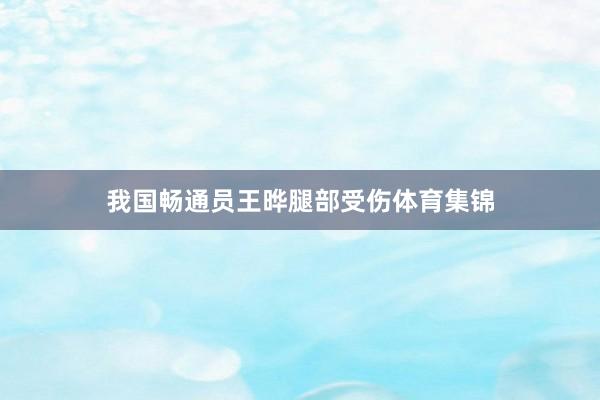 我国畅通员王晔腿部受伤体育集锦