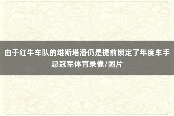 由于红牛车队的维斯塔潘仍是提前锁定了年度车手总冠军体育录像/图片