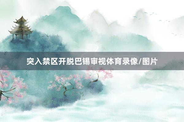 突入禁区开脱巴锡审视体育录像/图片