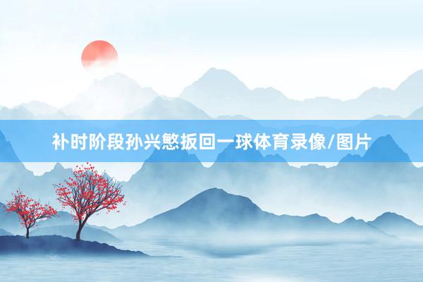 补时阶段孙兴慜扳回一球体育录像/图片