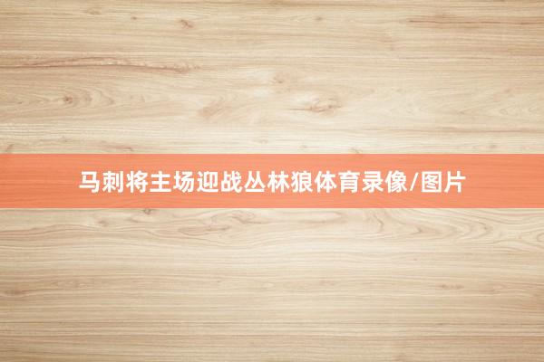 马刺将主场迎战丛林狼体育录像/图片