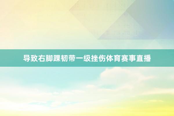 导致右脚踝韧带一级挫伤体育赛事直播