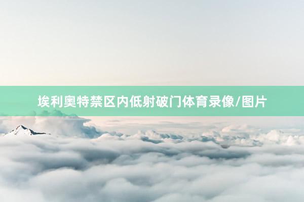 埃利奥特禁区内低射破门体育录像/图片