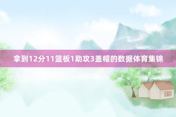 拿到12分11篮板1助攻3盖帽的数据体育集锦