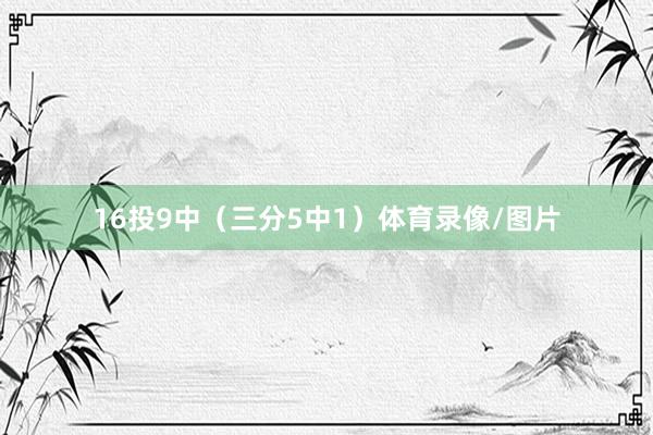 16投9中（三分5中1）体育录像/图片