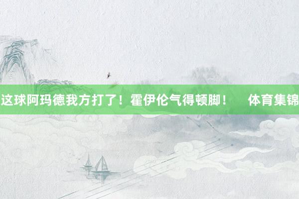 这球阿玛德我方打了！霍伊伦气得顿脚！    体育集锦