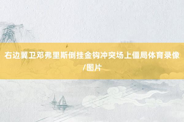右边翼卫邓弗里斯倒挂金钩冲突场上僵局体育录像/图片