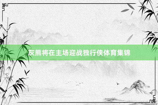 灰熊将在主场迎战独行侠体育集锦