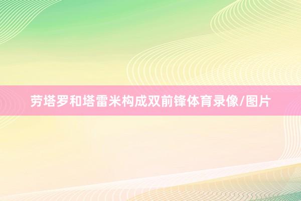 劳塔罗和塔雷米构成双前锋体育录像/图片