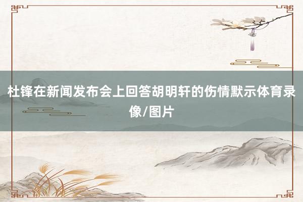 杜锋在新闻发布会上回答胡明轩的伤情默示体育录像/图片