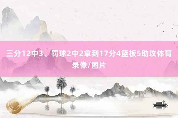三分12中3、罚球2中2拿到17分4篮板5助攻体育录像/图片