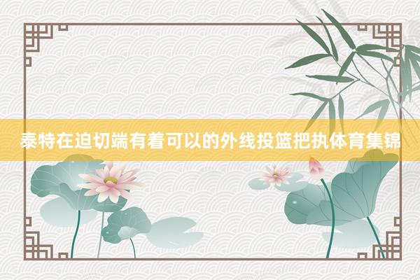 泰特在迫切端有着可以的外线投篮把执体育集锦