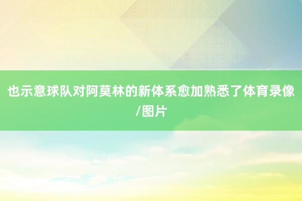 也示意球队对阿莫林的新体系愈加熟悉了体育录像/图片