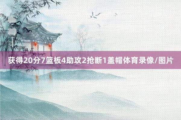 获得20分7篮板4助攻2抢断1盖帽体育录像/图片