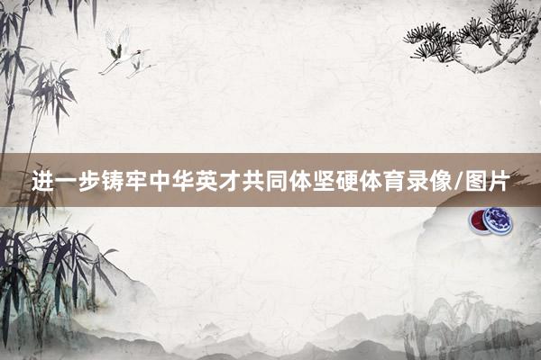 进一步铸牢中华英才共同体坚硬体育录像/图片