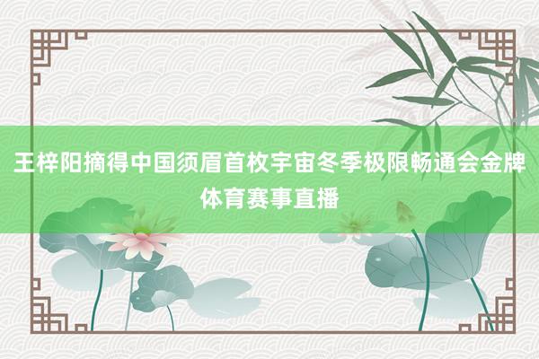 王梓阳摘得中国须眉首枚宇宙冬季极限畅通会金牌体育赛事直播