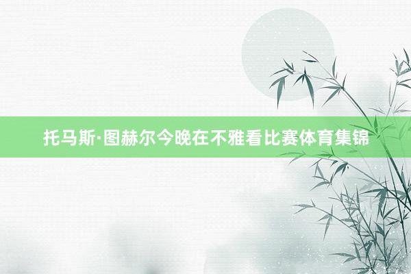 托马斯·图赫尔今晚在不雅看比赛体育集锦