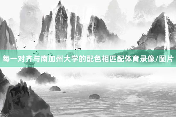 每一对齐与南加州大学的配色相匹配体育录像/图片