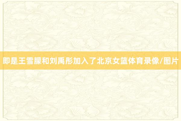 即是王雪朦和刘禹彤加入了北京女篮体育录像/图片