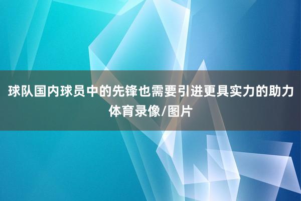 球队国内球员中的先锋也需要引进更具实力的助力体育录像/图片