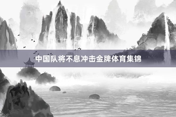中国队将不息冲击金牌体育集锦