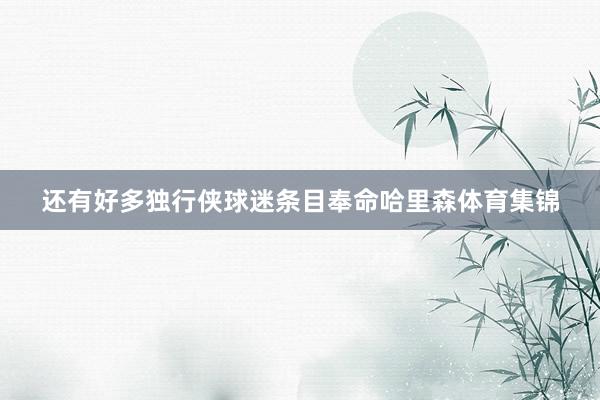 还有好多独行侠球迷条目奉命哈里森体育集锦