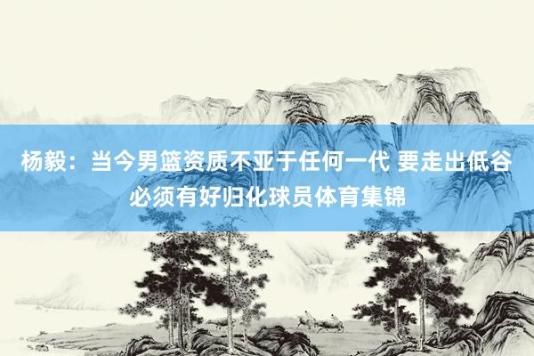 杨毅：当今男篮资质不亚于任何一代 要走出低谷必须有好归化球员体育集锦