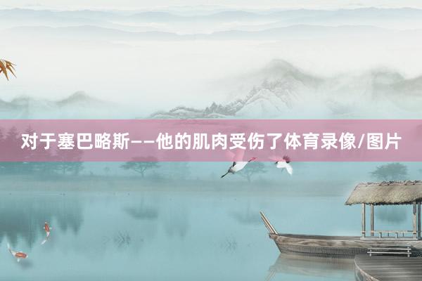 对于塞巴略斯——他的肌肉受伤了体育录像/图片