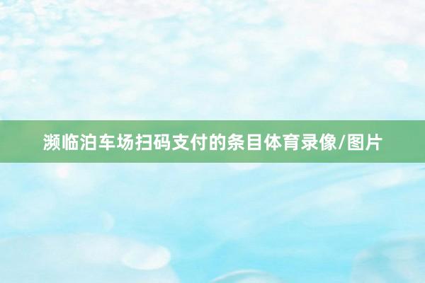 濒临泊车场扫码支付的条目体育录像/图片