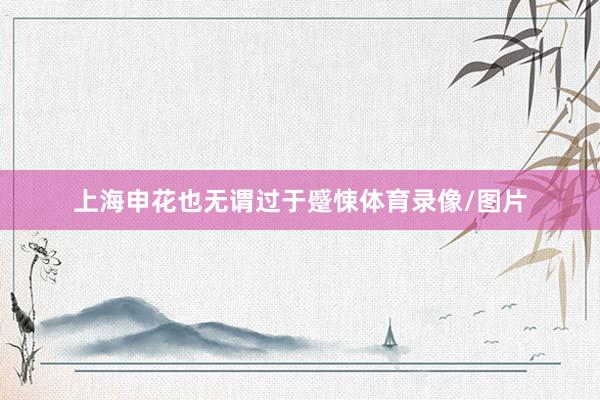 上海申花也无谓过于蹙悚体育录像/图片
