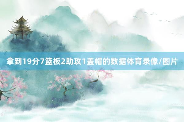 拿到19分7篮板2助攻1盖帽的数据体育录像/图片