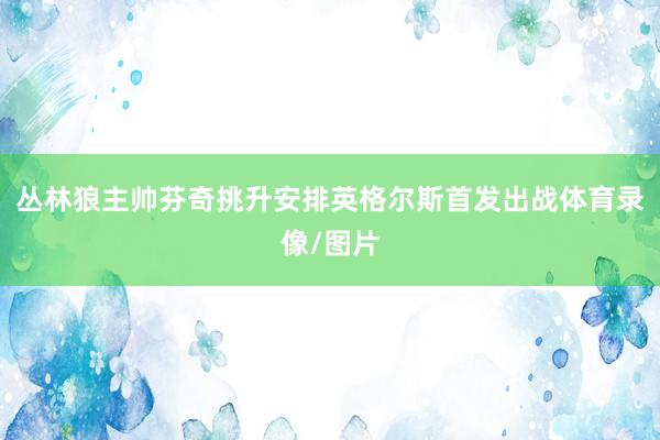 丛林狼主帅芬奇挑升安排英格尔斯首发出战体育录像/图片
