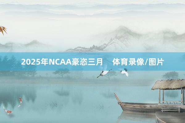 2025年NCAA豪恣三月    体育录像/图片