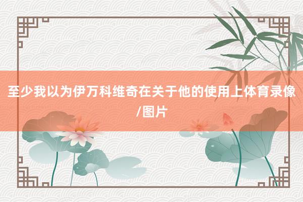 至少我以为伊万科维奇在关于他的使用上体育录像/图片