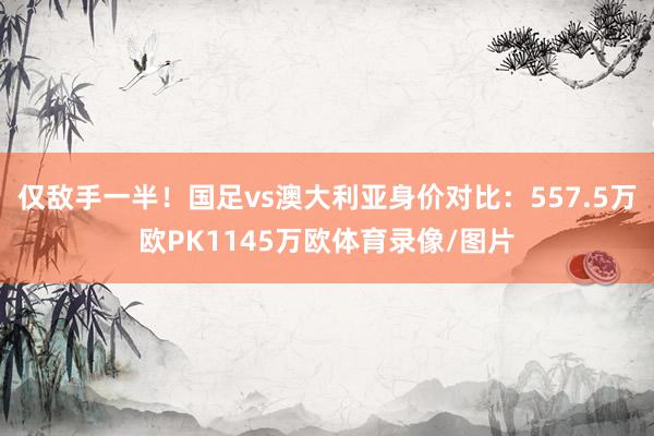仅敌手一半！国足vs澳大利亚身价对比：557.5万欧PK1145万欧体育录像/图片