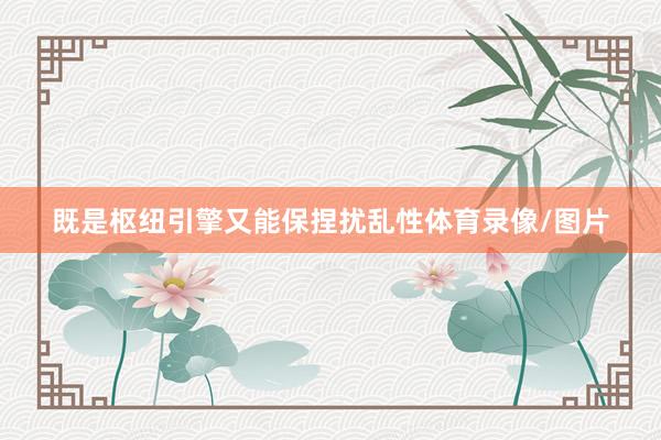 既是枢纽引擎又能保捏扰乱性体育录像/图片