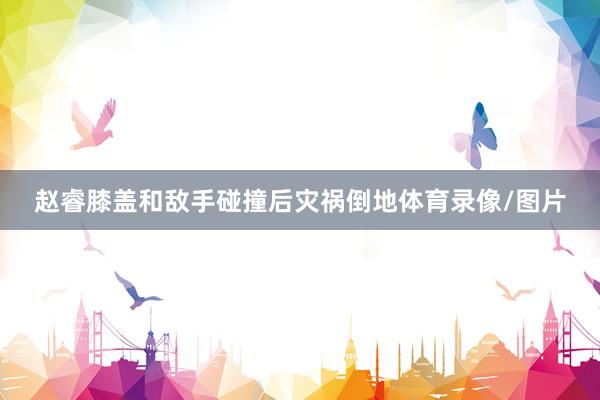 赵睿膝盖和敌手碰撞后灾祸倒地体育录像/图片