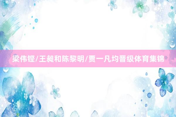 梁伟铿/王昶和陈黎明/贾一凡均晋级体育集锦