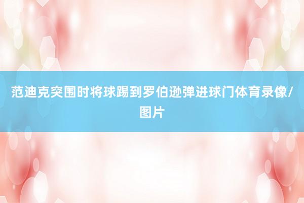 范迪克突围时将球踢到罗伯逊弹进球门体育录像/图片