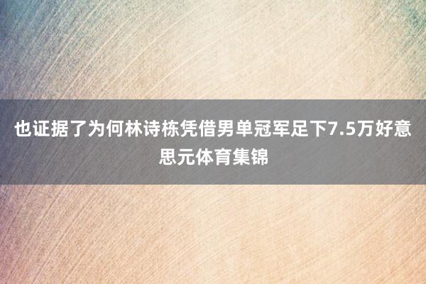 也证据了为何林诗栋凭借男单冠军足下7.5万好意思元体育集锦