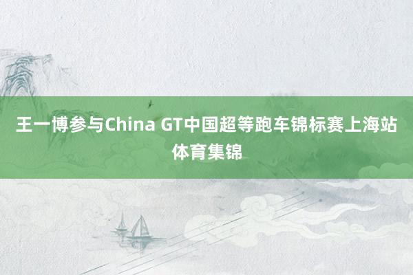 王一博参与China GT中国超等跑车锦标赛上海站体育集锦