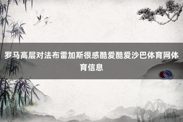 罗马高层对法布雷加斯很感酷爱酷爱沙巴体育网体育信息