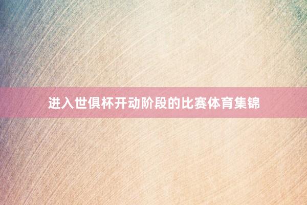 进入世俱杯开动阶段的比赛体育集锦