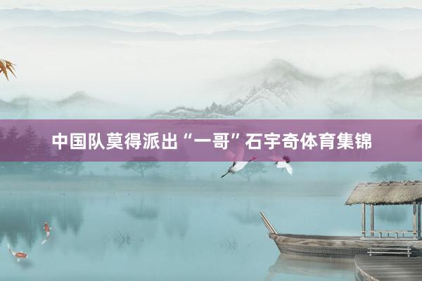 中国队莫得派出“一哥”石宇奇体育集锦