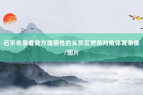 石宇奇靠着我方瑰丽性的头顶区劈杀对角体育录像/图片