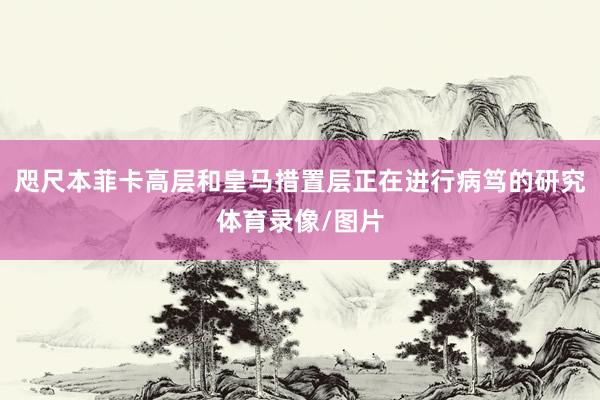 咫尺本菲卡高层和皇马措置层正在进行病笃的研究体育录像/图片