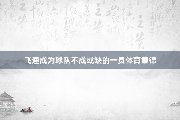 飞速成为球队不成或缺的一员体育集锦