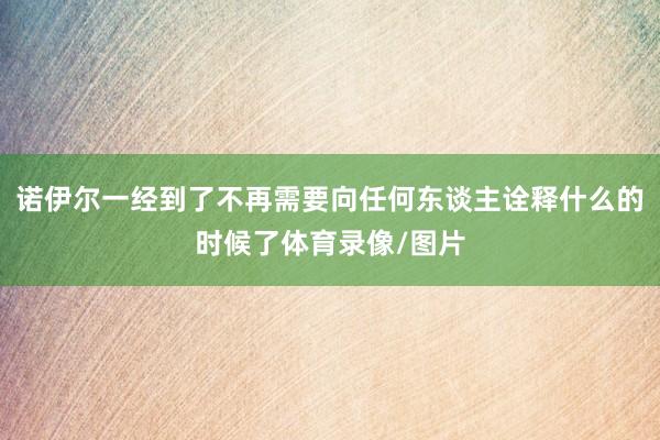 诺伊尔一经到了不再需要向任何东谈主诠释什么的时候了体育录像/图片